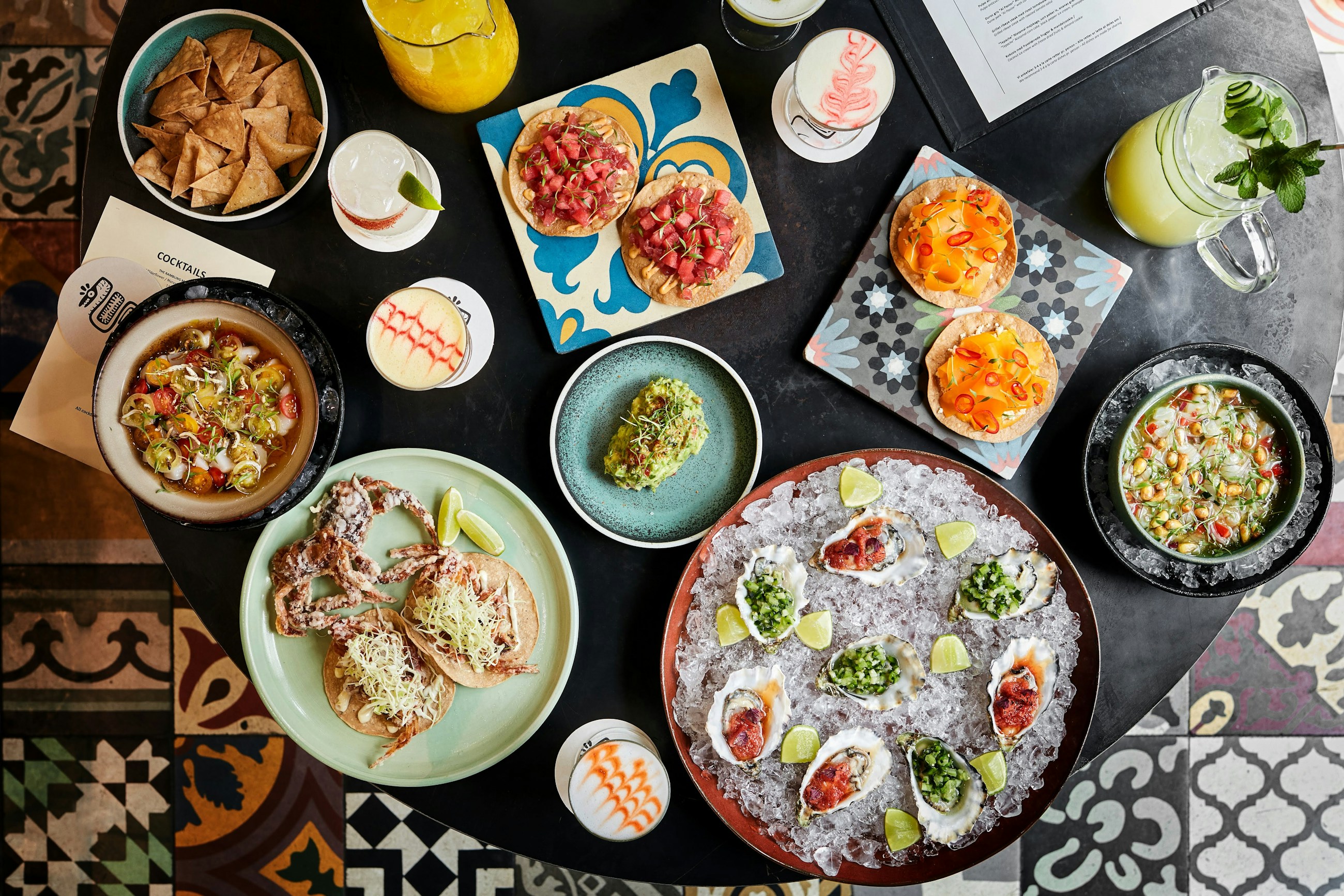 Llama Chris Tonnesen 23483